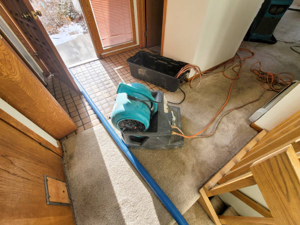 Best Carpet water damage restoration  in Truckee, CA