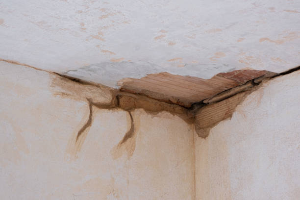 Best Basement water damage restoration  in Truckee, CA