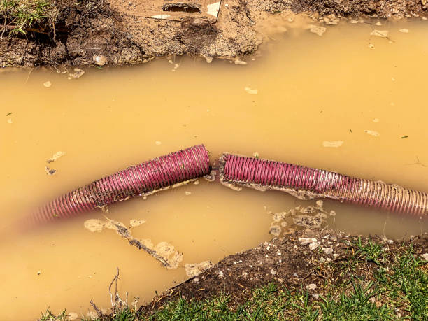 Best 24/7 water damage repair  in Truckee, CA